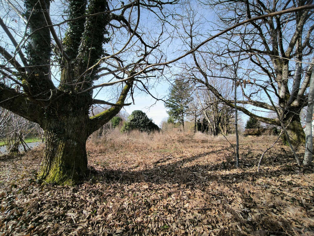 Terrain à BEYSSENAC