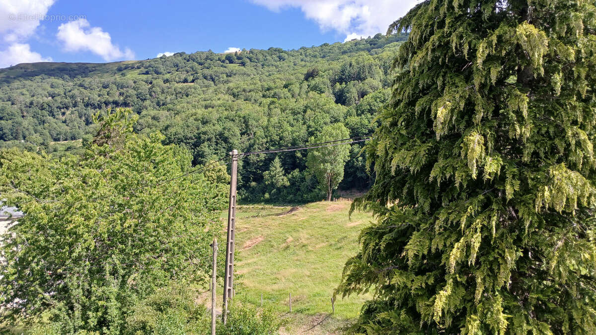 Maison bourgeoise dans la vallee du mars - photo 32