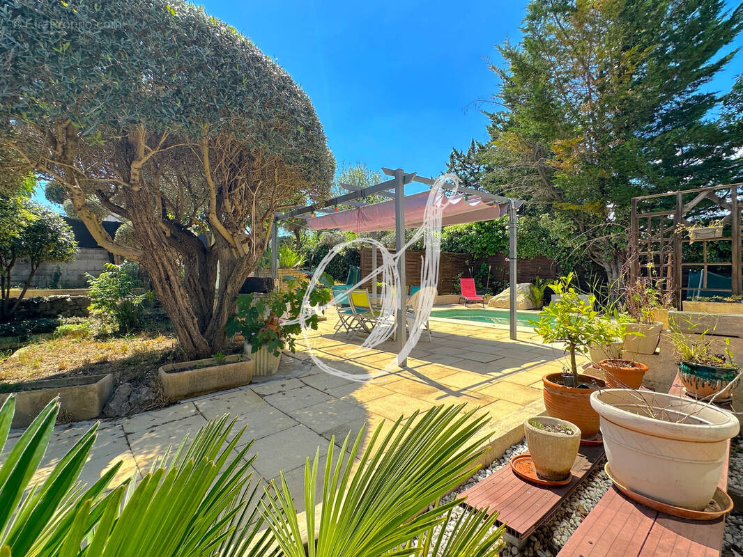 Maison à MONTPELLIER