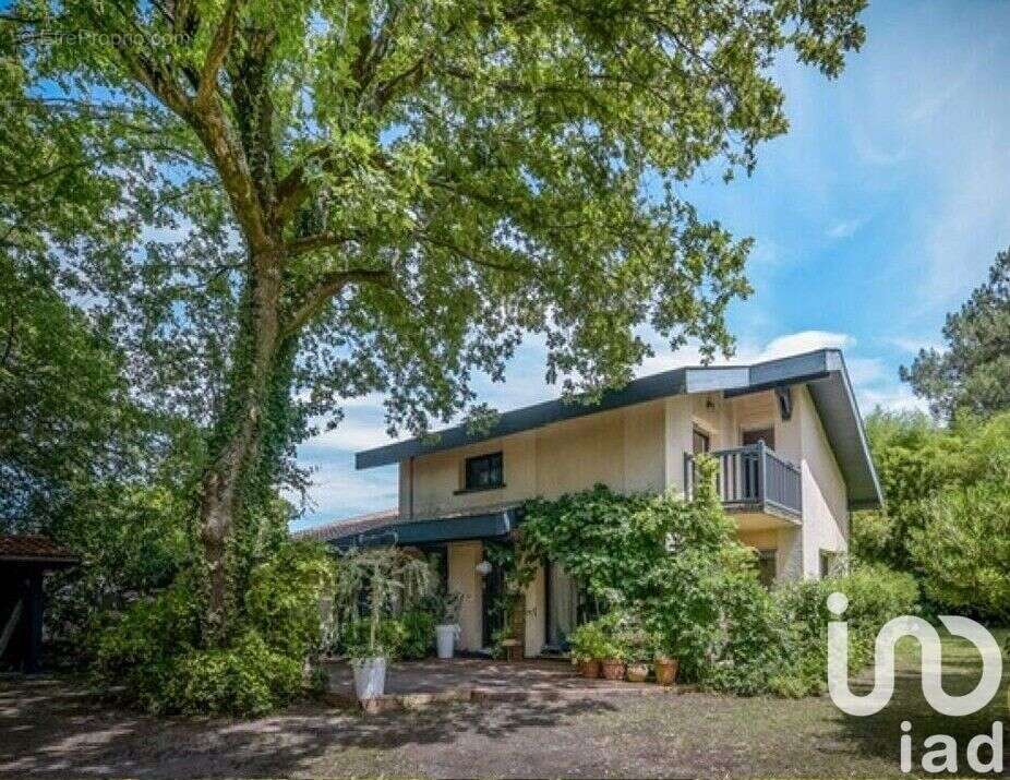 Photo 9 - Maison à LA TESTE-DE-BUCH