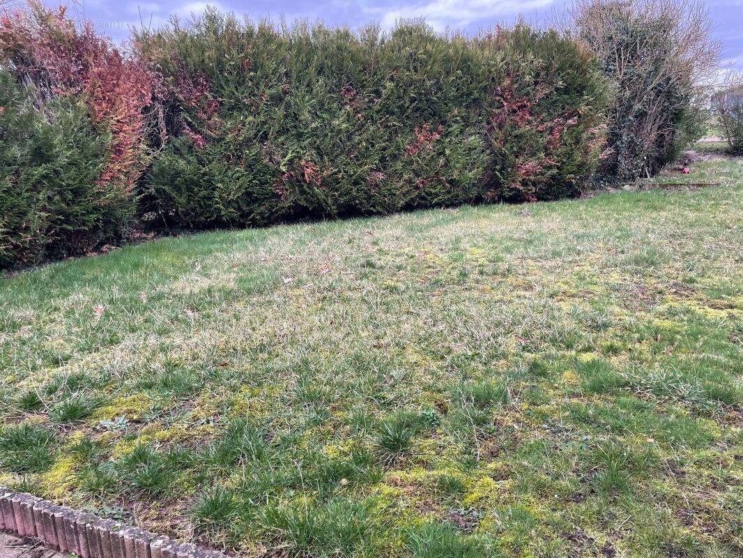 Maison à PFAFFENHOFFEN