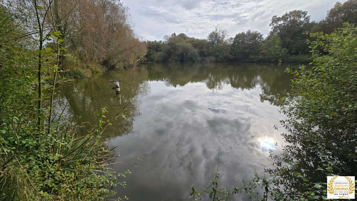 Terrain à SAINT-LEONARD-DES-BOIS