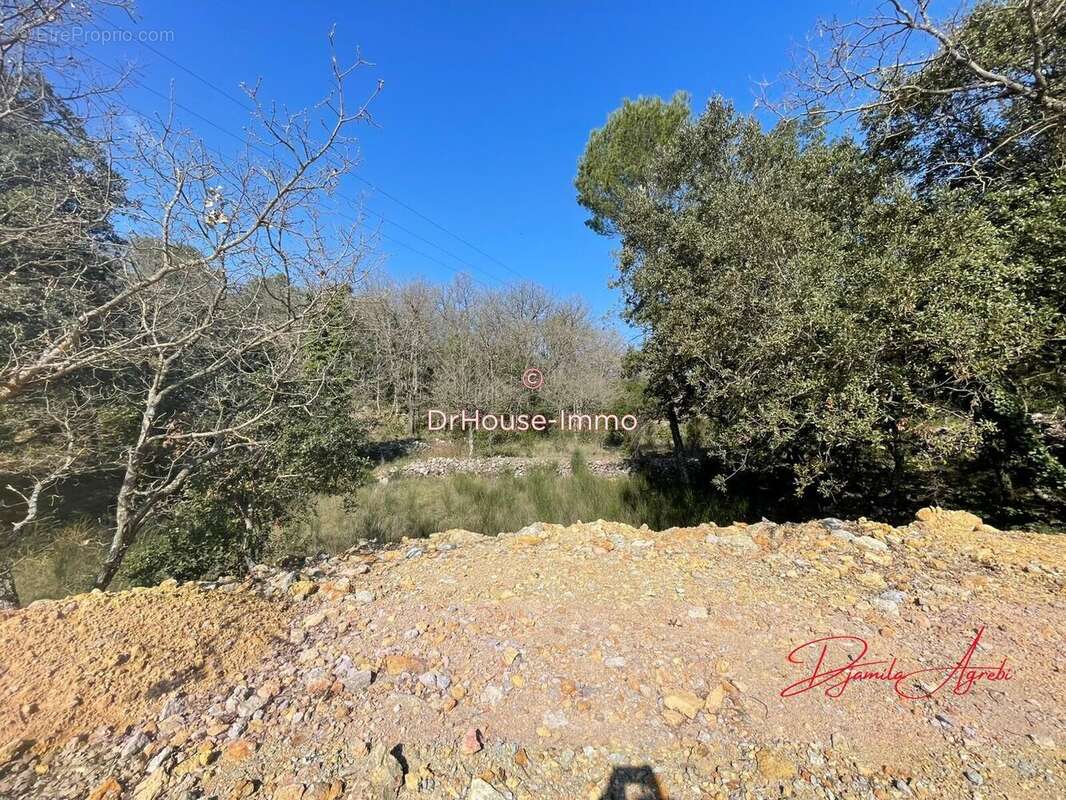 Terrain 7807 m² à Saint-Maximin-La-Sainte-Baume  - photo 6