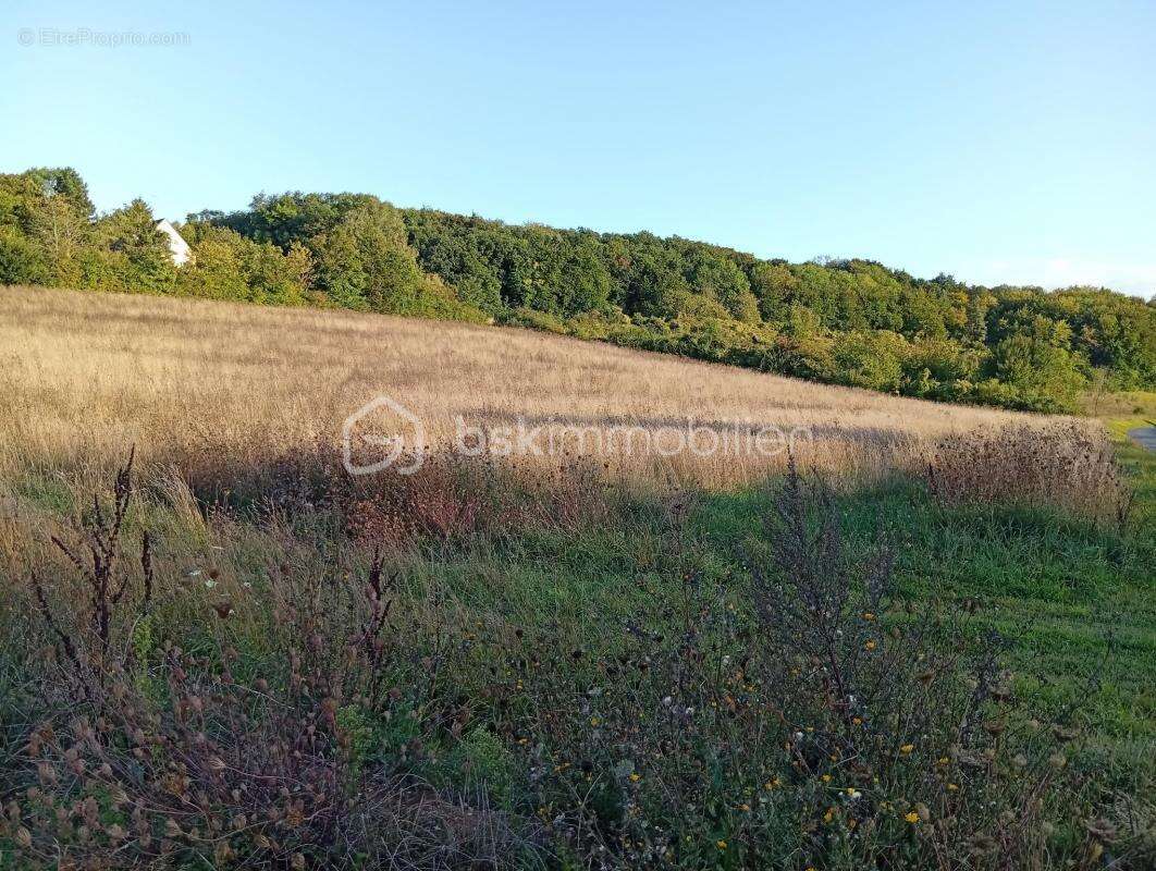 Terrain à SAINTE-GENEVIEVE