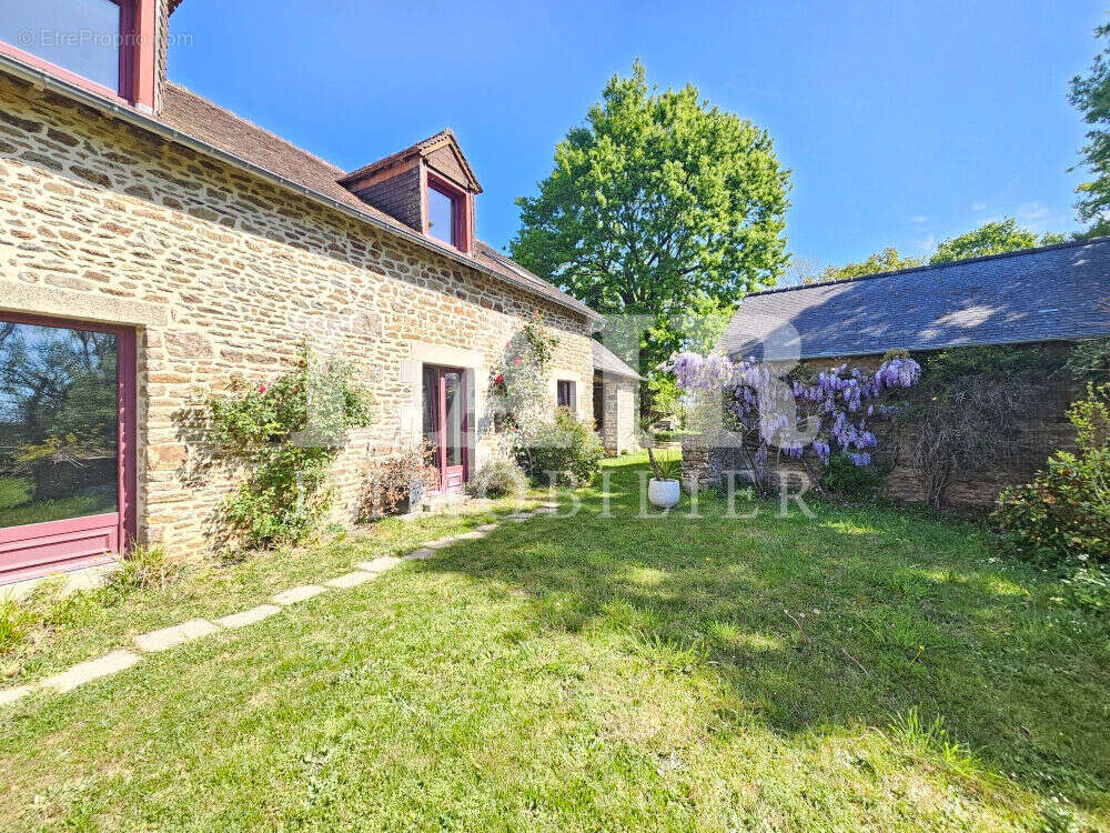 Maison à SAINT-PIERRE-DES-NIDS