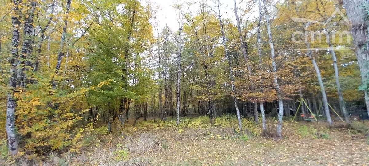 Maison à CANDE-SUR-BEUVRON