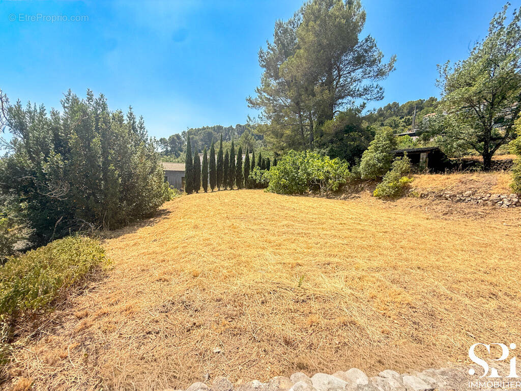 Terrain à SOLLIES-VILLE