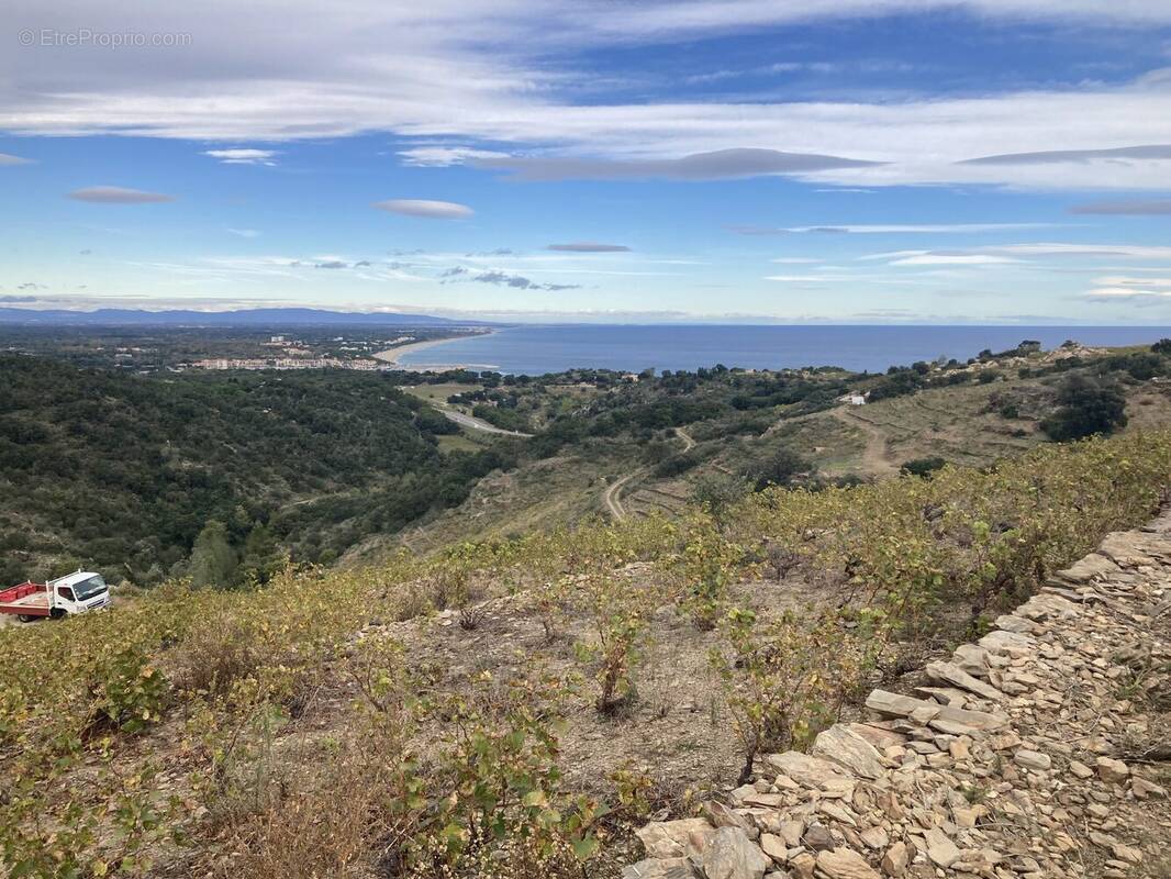 Terrain à COLLIOURE