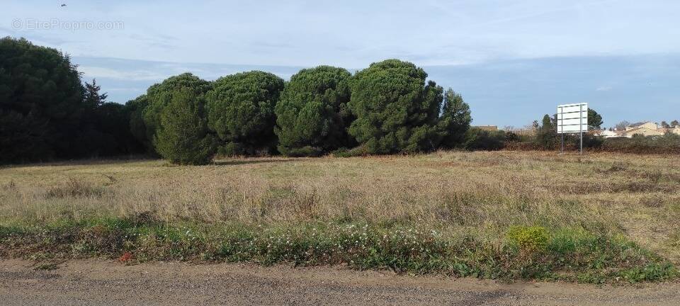 Terrain à AUTIGNAC