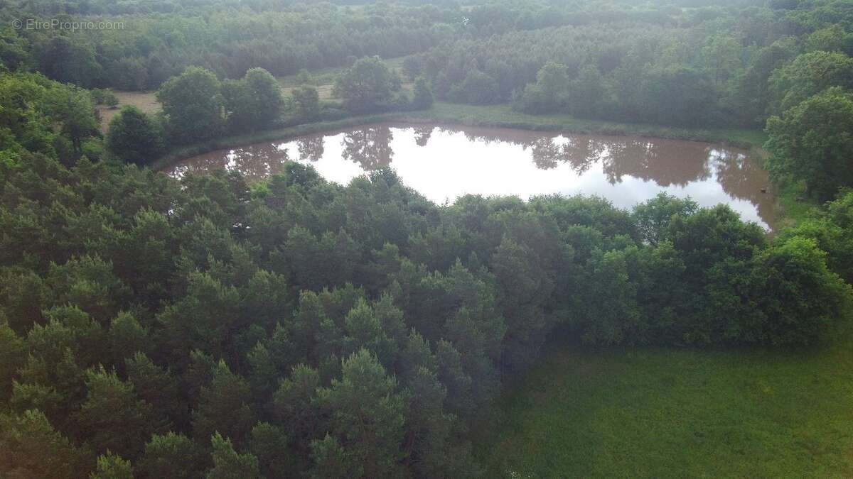 Terrain à MUR-DE-SOLOGNE