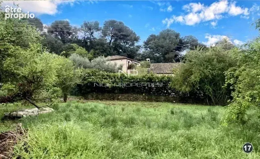 Terrain a batir de 975m2 avec permis accépté maison de 130m2 - photo 5