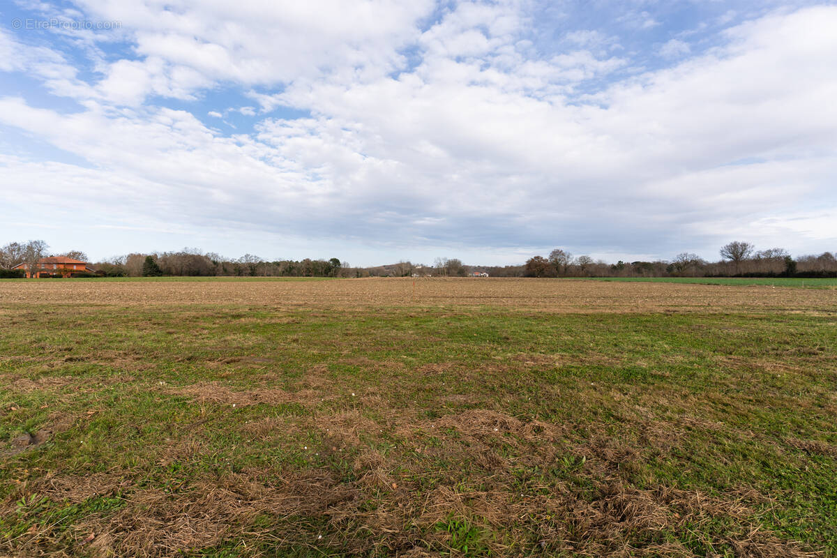 Terrain à SAINT-MARTIN-DE-HINX
