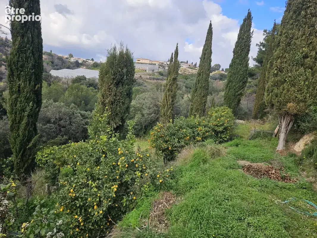 Nice - saint pancrace- terrain - photo 2
