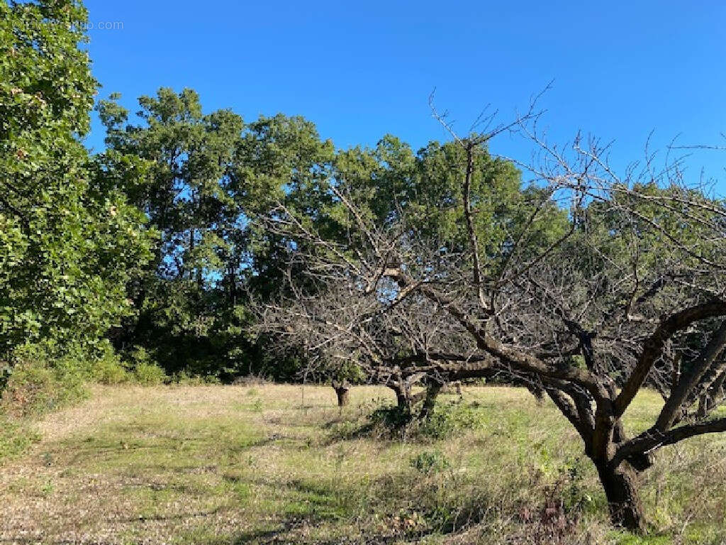 Terrain à UZES