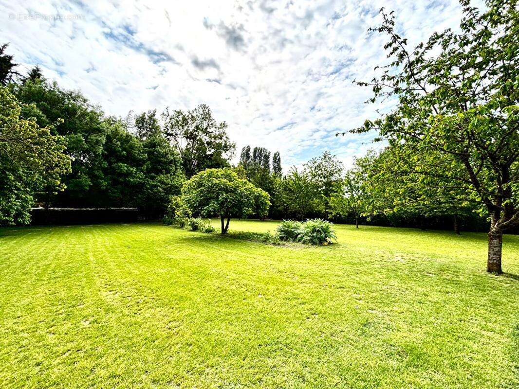 Maison à BEAUFORT-EN-VALLEE