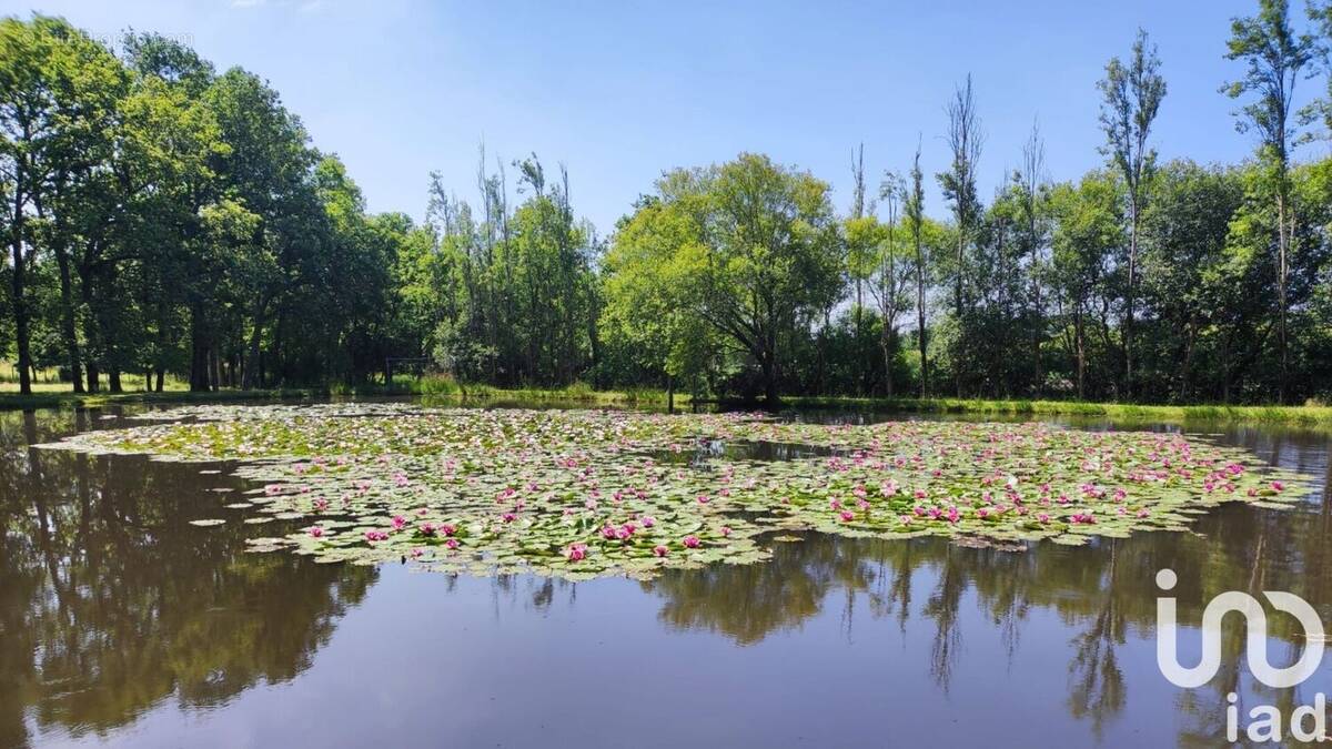 Photo 1 - Maison à CROSSAC