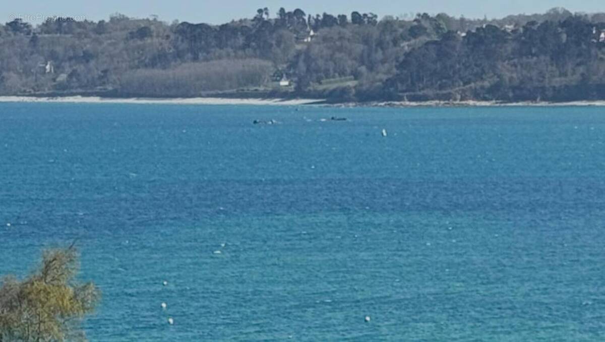 Photo 1 - Terrain à PERROS-GUIREC