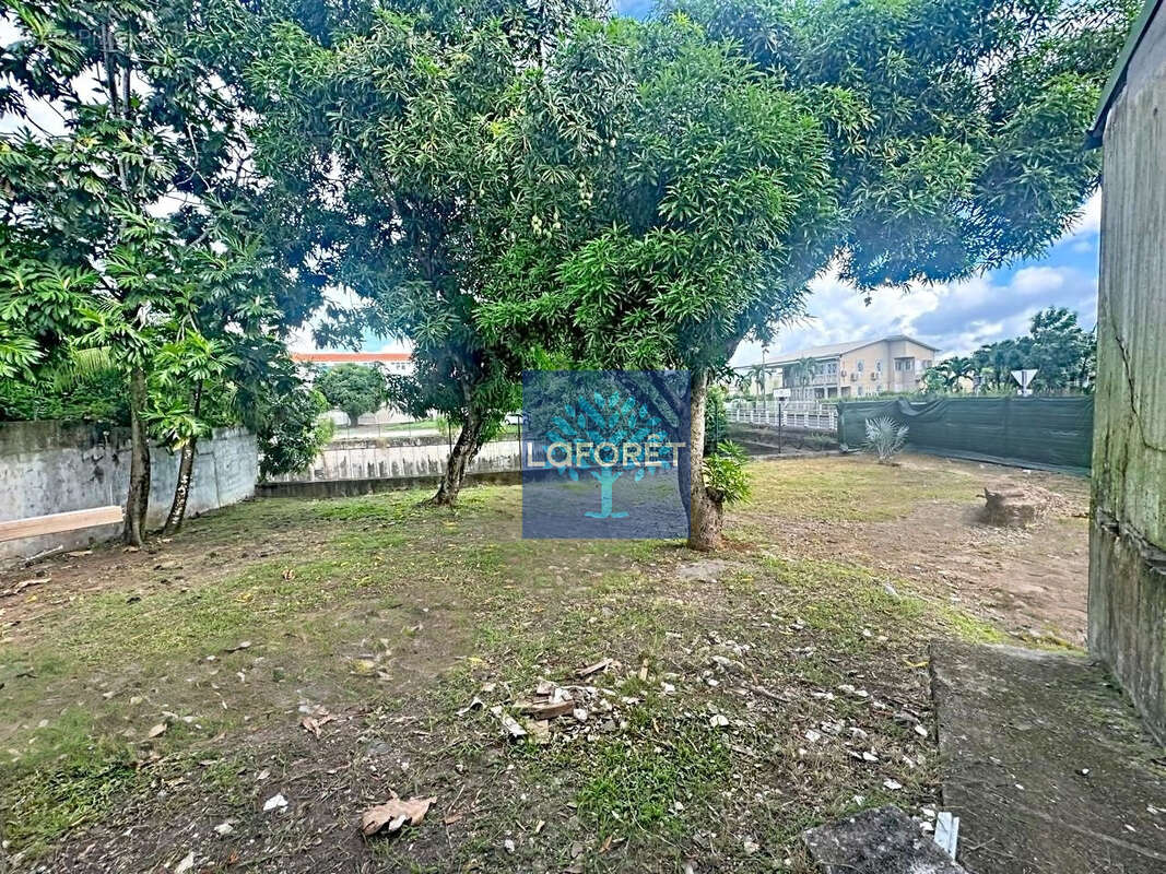 Commerce à FORT-DE-FRANCE