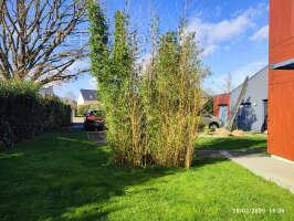 Maison à ARQUENAY