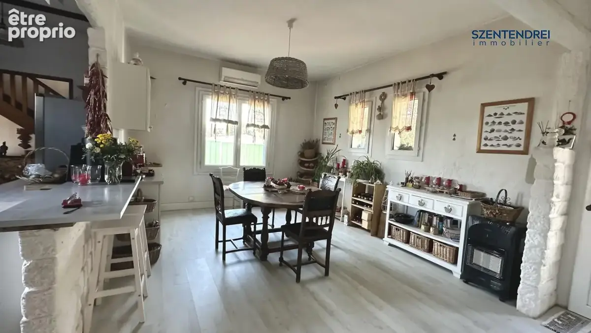 Szentendrei Immobilier - maison + dépendance - LUNEL - Grand terrain 