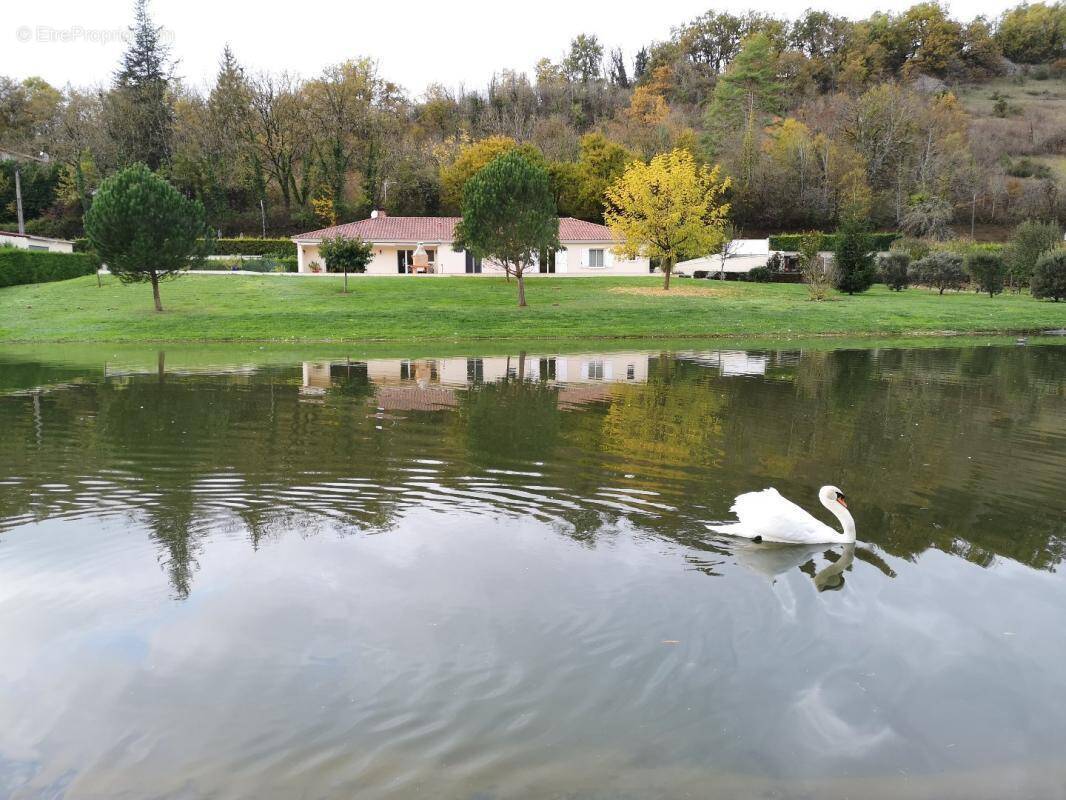Maison à LISSAC-ET-MOURET