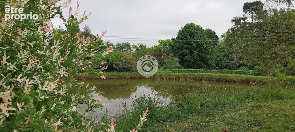 Maison de vie - Idéale grande tribu ou famille d'accueil - photo 15
