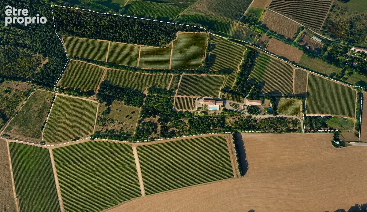 Domaine Viticole - Environnement privelegié - photo 2