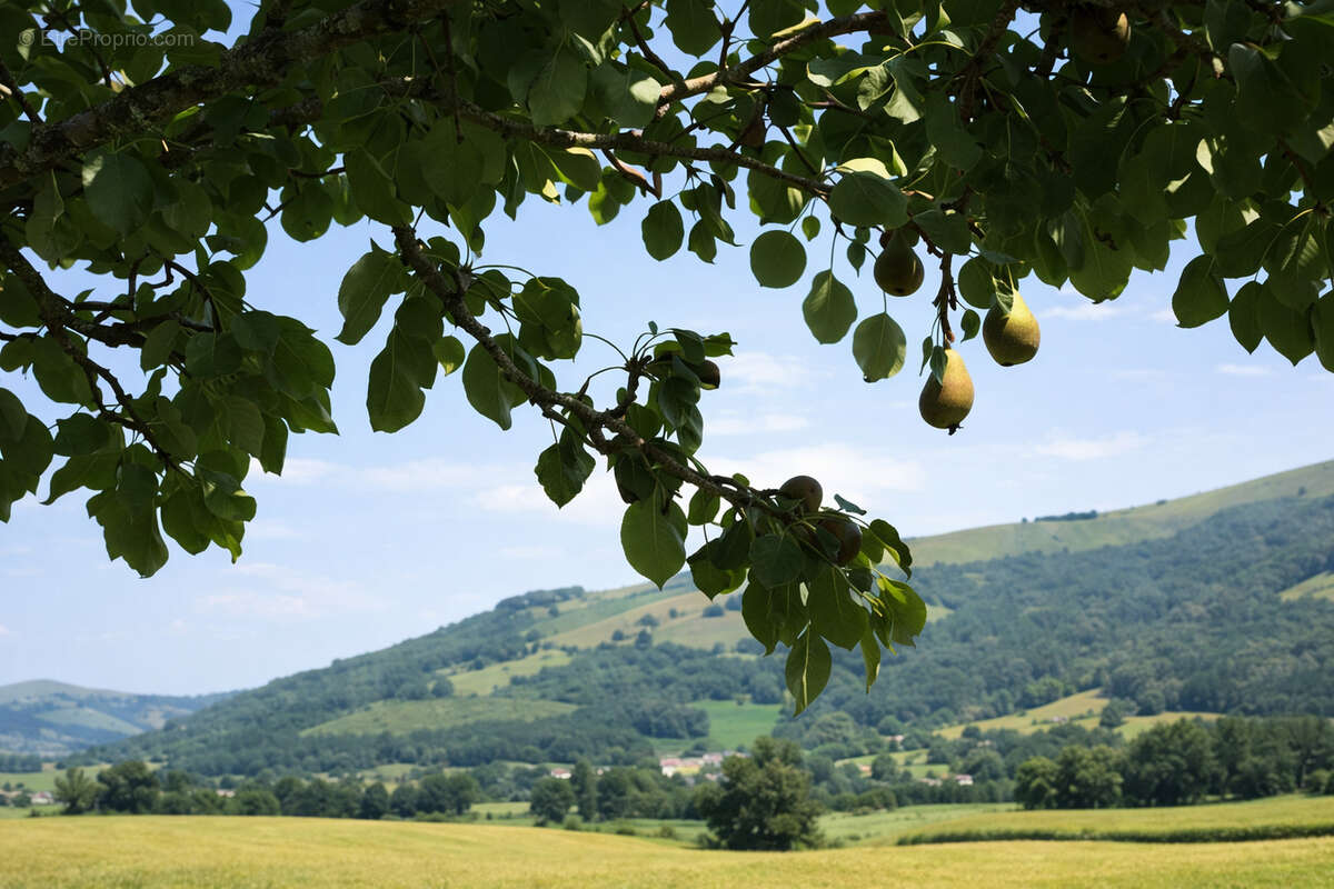 Maison à LARCEVEAU-ARROS-CIBITS