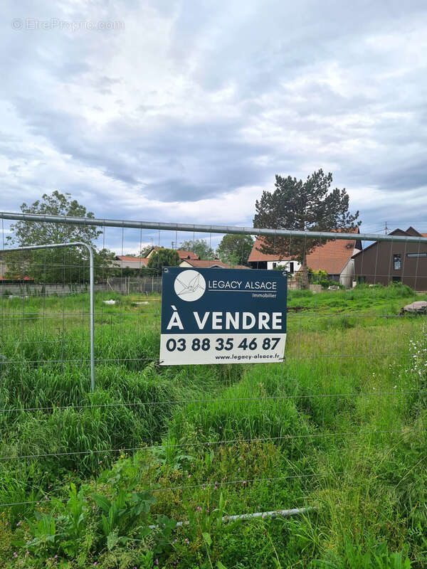 Terrain à OHNENHEIM