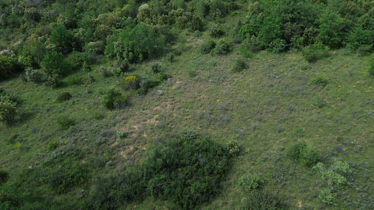 Terrain à PUECHABON