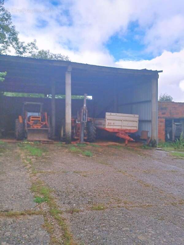 Photo 7 - Maison à TERRE-CLAPIER