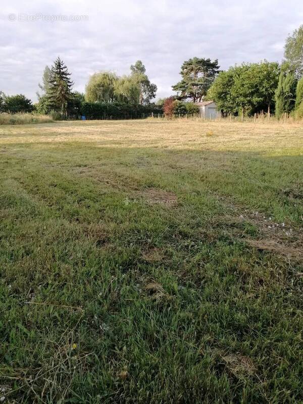 Terrain à MARSSAC-SUR-TARN