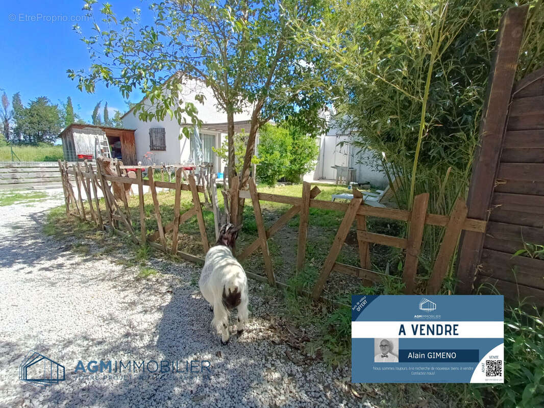 Photo 9 - Maison à CLAIRA