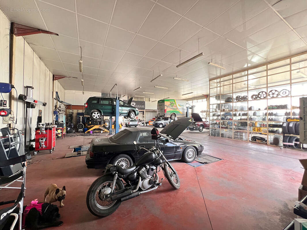 Commerce à REHAINVILLER