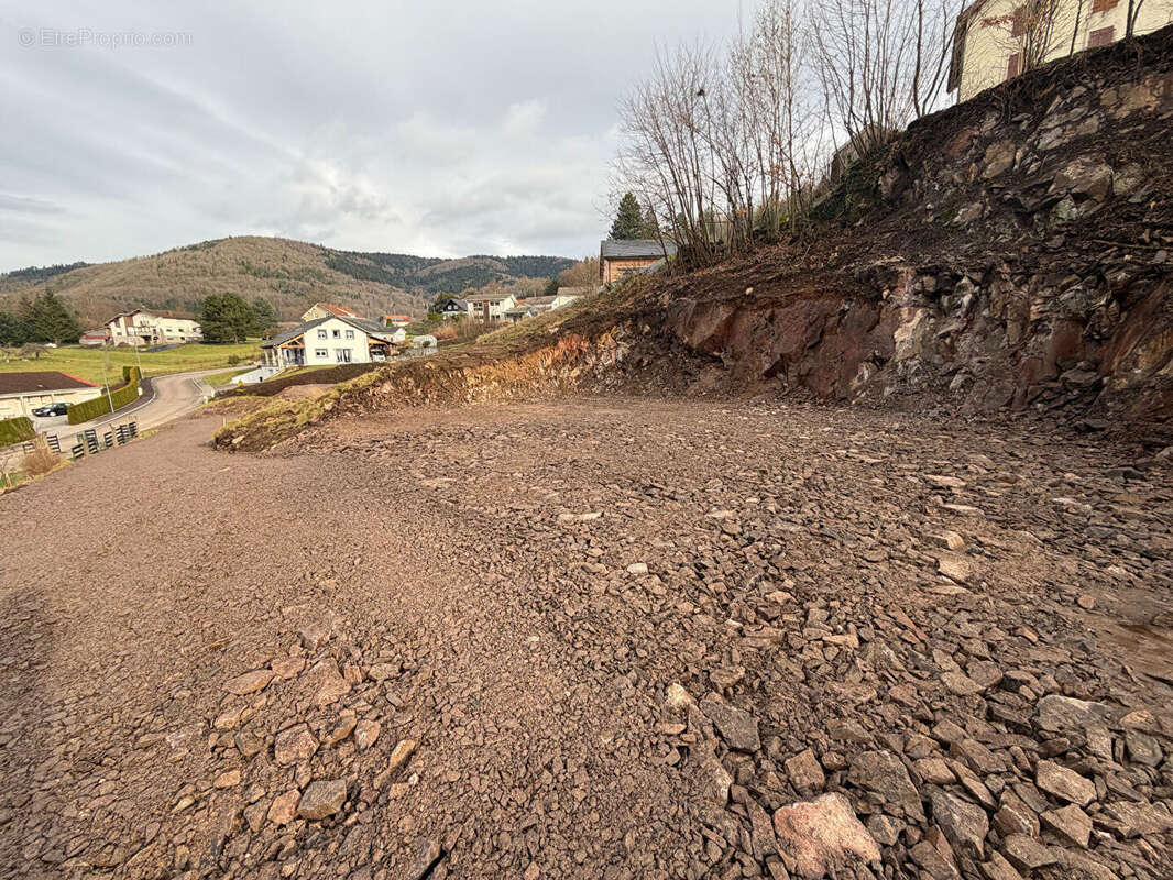 Terrain à RUPT-SUR-MOSELLE