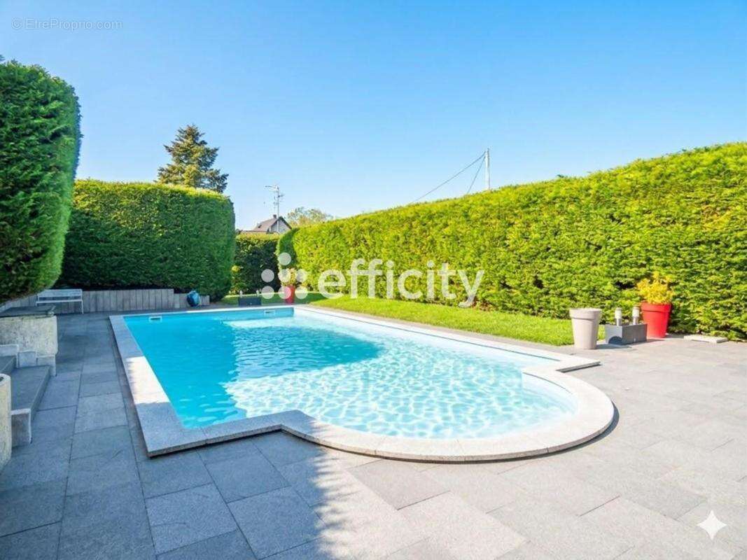 Maison 209 m² à Pulversheim  - photo 3