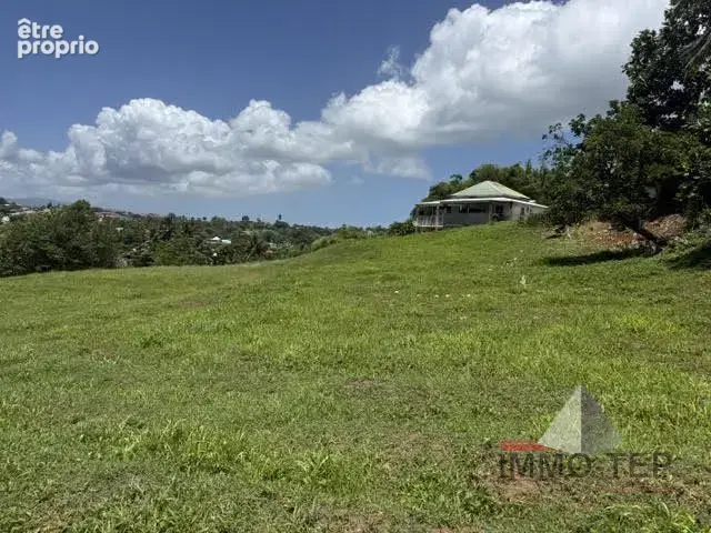 Terrain 1 429 m² à vendre à Baie-Mahault (97122) - photo 8