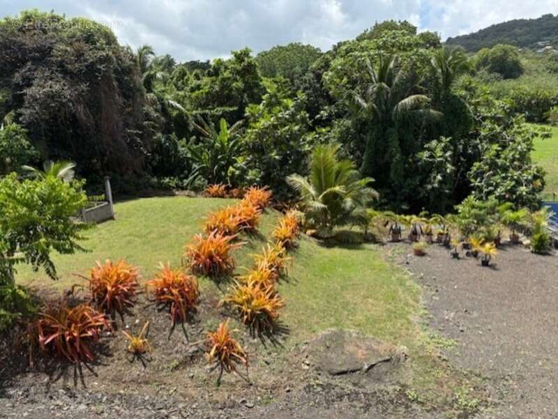 Appartement à LE VAUCLIN