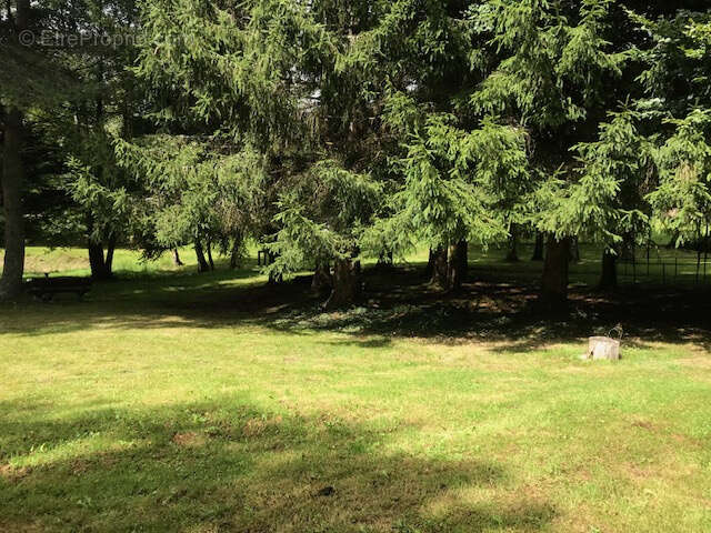 Maison à BIFFONTAINE