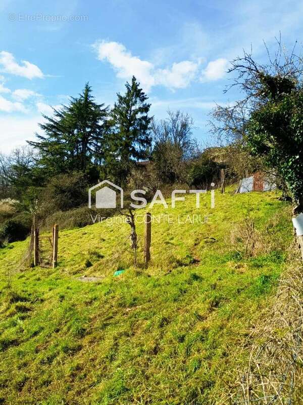 Photo 9 - Maison à BEAULIEU-SUR-SONNETTE