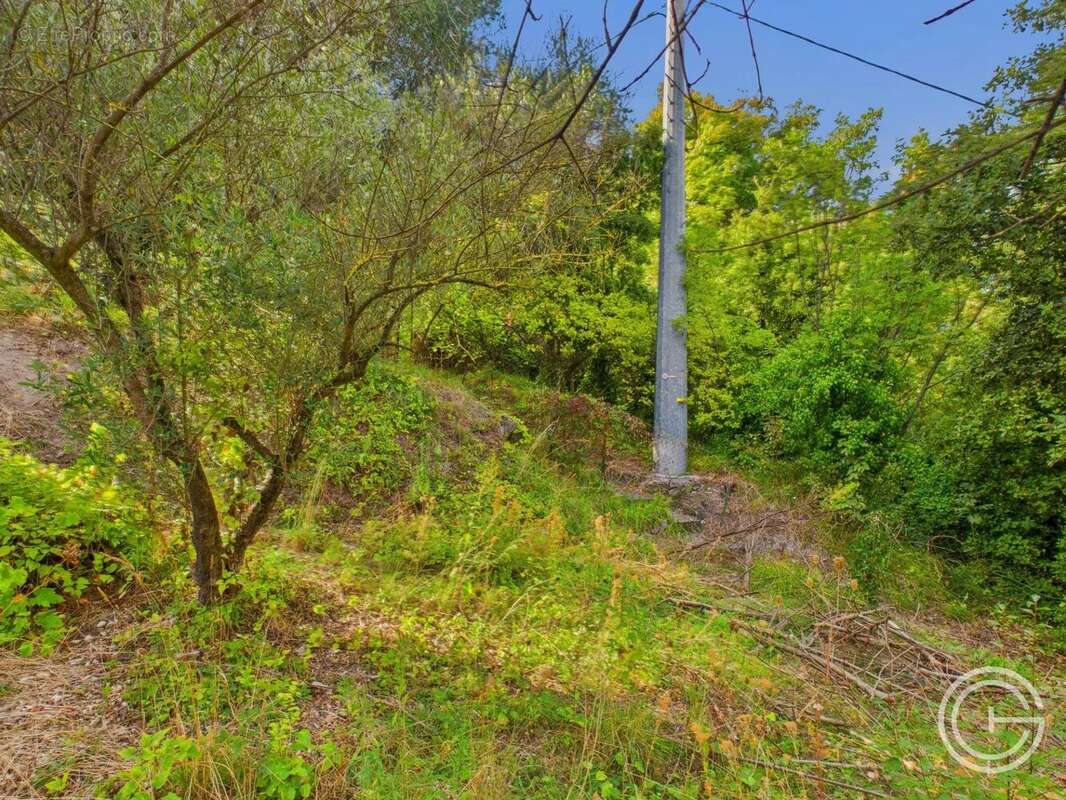 Terrain Constructible - 1.329m² - Chemin de Rimiez - ST ANDRE DE LA ROCHE - photo 9