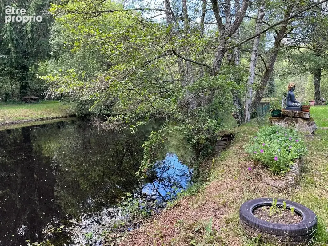 Haute-Vienne, une propriété avec étang au bord de la Vienne - photo 5