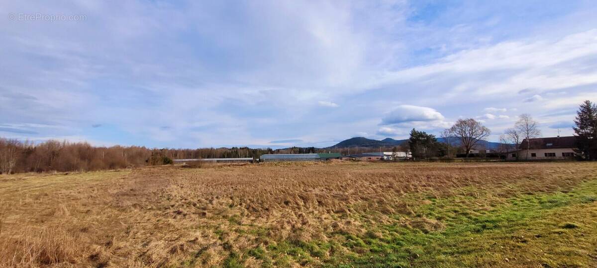 Terrain à SAINT-MICHEL-SUR-MEURTHE