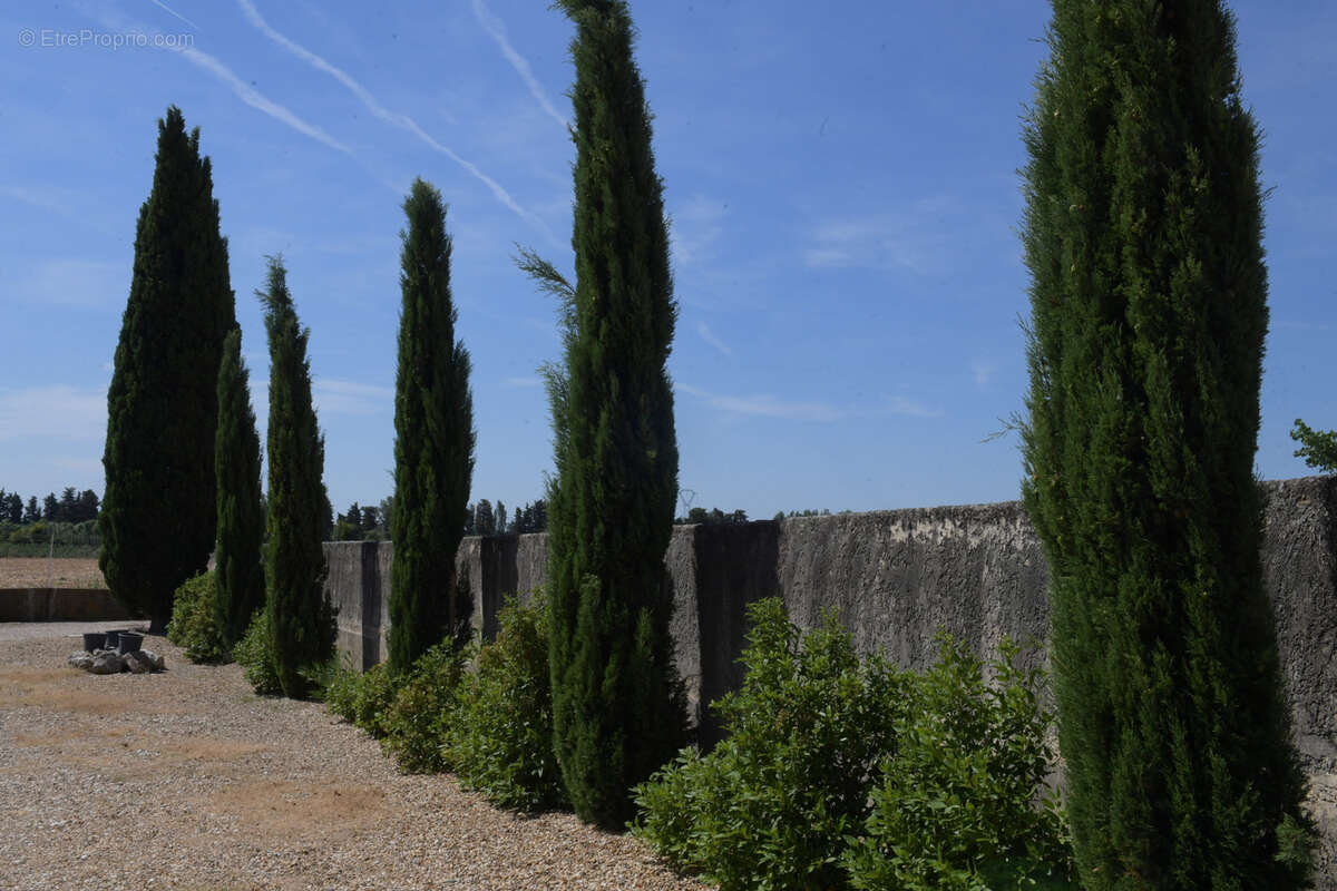 Mas de caractère - photo 26