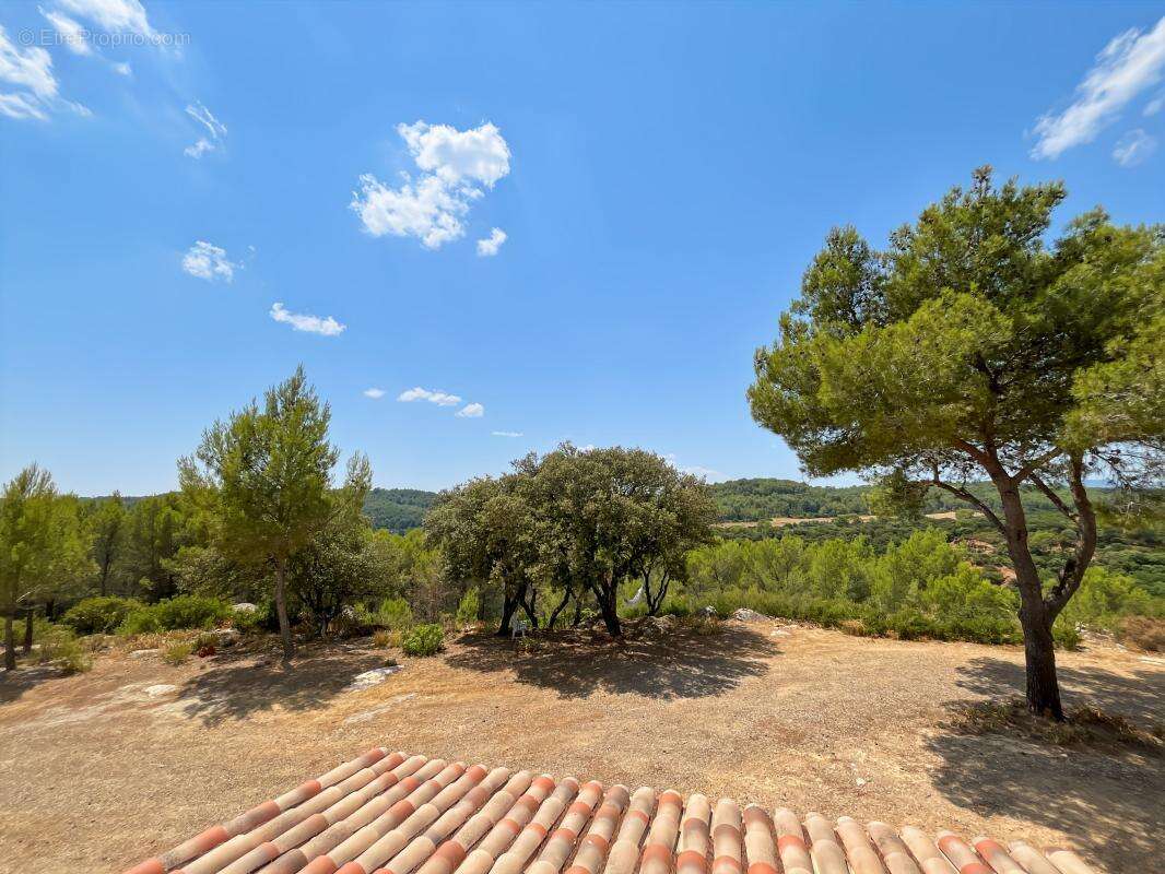 Maison À Vendre - photo 23