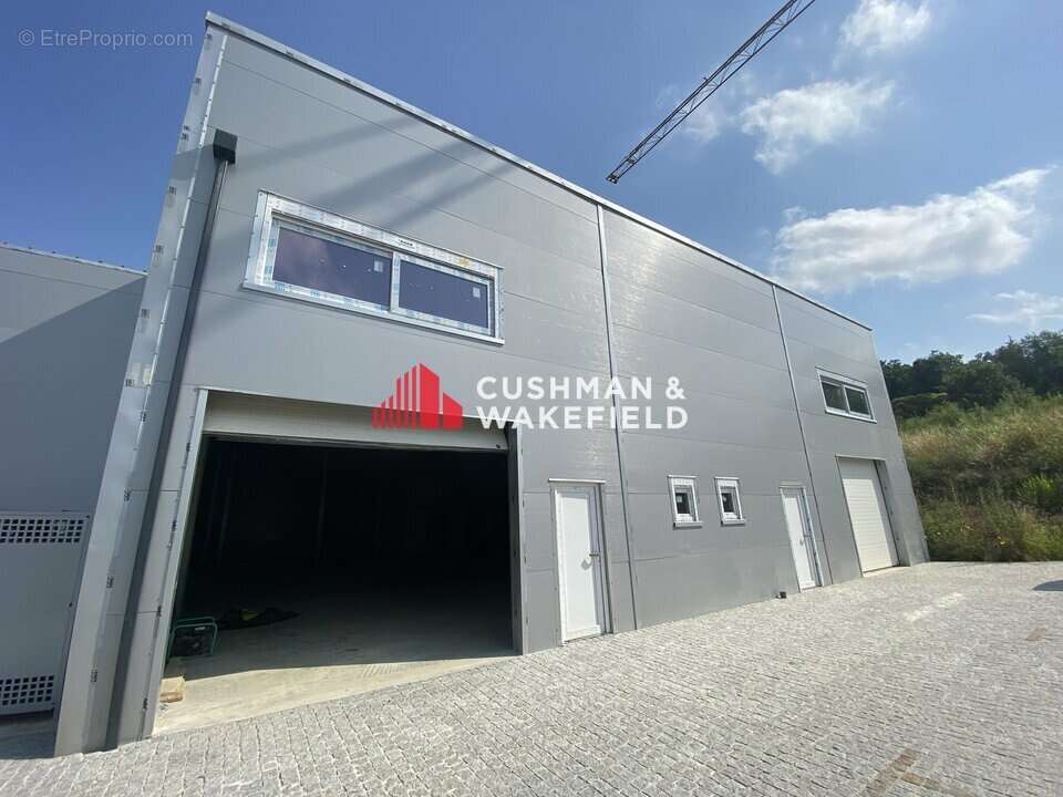 486 m² à Grisolles  - photo 2