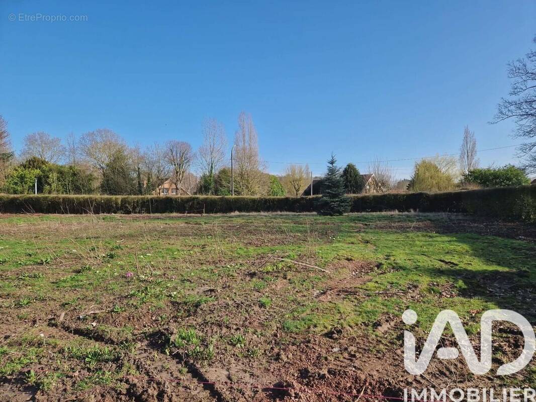 Photo 1 - Terrain à MAZINGARBE