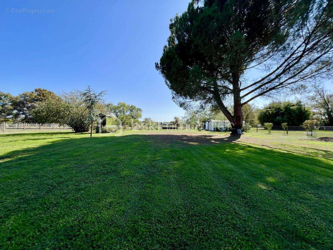 Maison à SAINT-MEDARD-DE-GUIZIERES