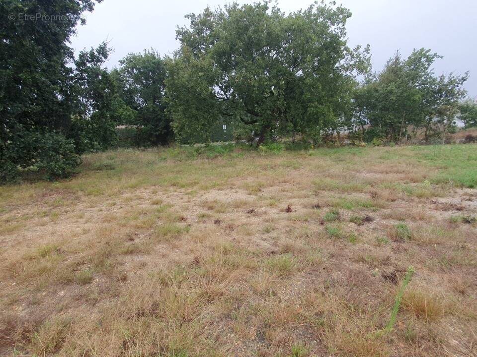 Terrain à BASSENS