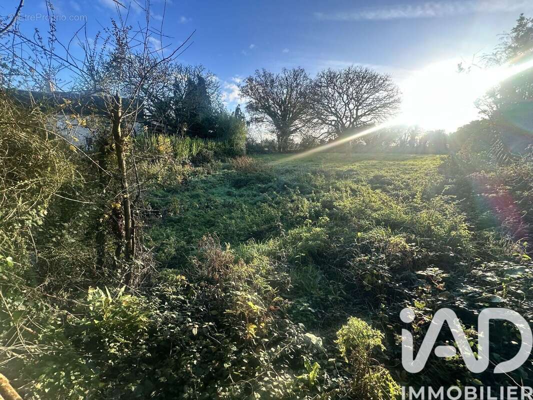 Photo 5 - Terrain à PICAUVILLE